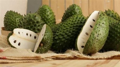 زيادة الإقبال على زراعة القشطة يخفض أسعارها في الأسواق لأول مرة