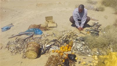 إعدام 570 كيلو أسماك وخضراوات فاسدة في الشرقية (صور)