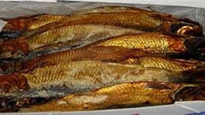 10 فوائد صحية تدفعك لتناول الرنجة فورا