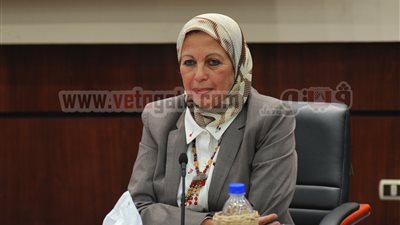 الاستثمار تدرس تفعيل مشروع ألبان 