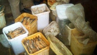 تحرير محاضر لأصحاب محال فسيخ ورنجة بدون ترخيص في كفر الشيخ