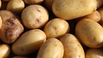 البطاطس تسجل 4 جنيهات بالجيزة