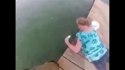 بالفيديو.. فتاة حاولت إطعام الأسماك فانشق الماء عن مفاجأة