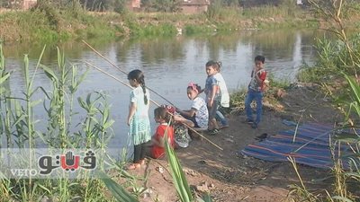 بالصور.. الأهالي المنوفية تحتفل بشم النسيم وسط الخضرة