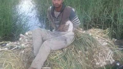 القبض على عاطل سرق 1.2 طن ثوم في قنا