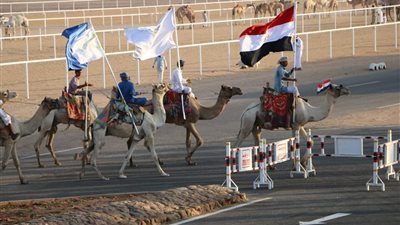انطلاق اليوم الثالث لمهرجان شرم الشيخ لسباق الهجن (صور)