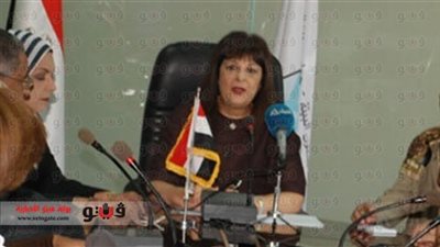 وزيرة البيئة تناقش استخدام الطاقة الشمسية مع اتحاد الصناعات.. اليوم