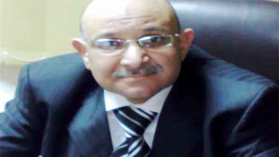 محرم: تكلفة الحد الأدنى للأجور تم توفيرها من خفض الفائدة على الأذون والسندات