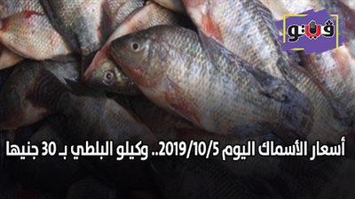 اسعار الأسماك اليوم 2019/10/5.. وكيلو البلطي بـ 30 جنيها