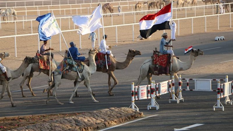 فيتو