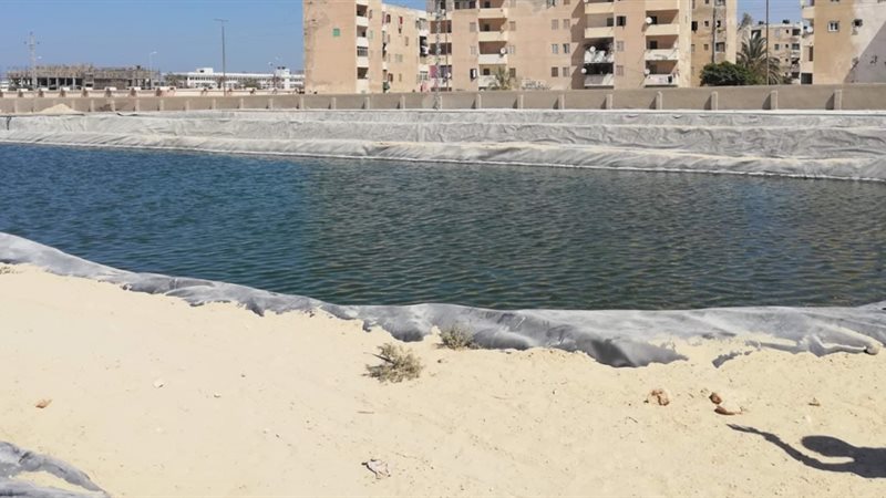 فيتو