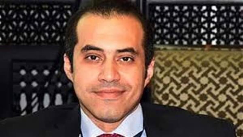 المستشار محمود فوزى