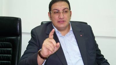 أسامة جنيدي: تعاون كوريا مع مصر يفتح لها بوابة أفريقيا