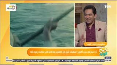 أحد الممرضين بحرب أكتوبر يروي قصة جندي مصاب ترك المستشفى وعاد للقتال (فيديو)