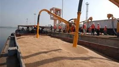 وصول 27 ألف طن قمح من أوكرانيا إلى ميناء الإسكندرية