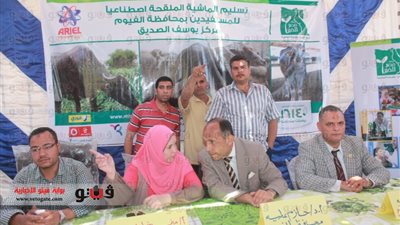 بالصور.. توزيع رؤس ماشية على الأسر الفقيرة بالفيوم