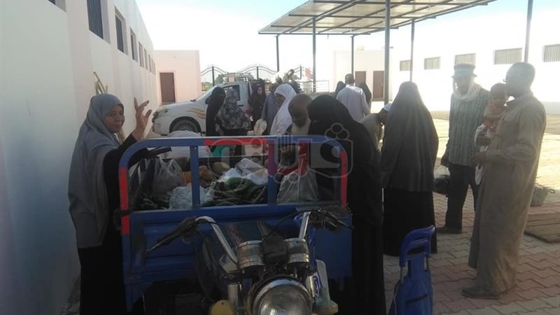 الوادى الجديد تبدا
