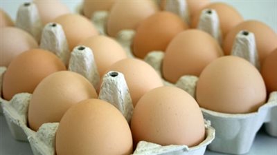 الثروة الداجنة: كرتونة البيض أورجانيك تسجل 50 جنيها