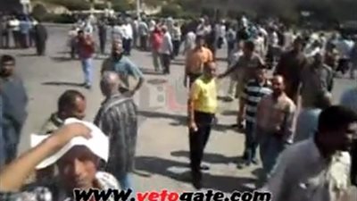 بالفيديو .. عمال 