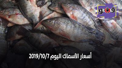 اسعار الأسماك اليوم 2019/10/7.. وكيلو البلطي بـ30 جنيها