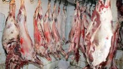 ضبط مصنع لإنتاج اللحوم بدون ترخيص في شبرا الخيمة