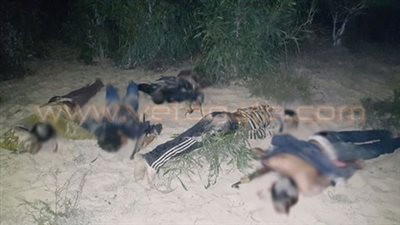 مقتل 5 عناصر إرهابية في كمين «السبخة» بالشيخ زويد