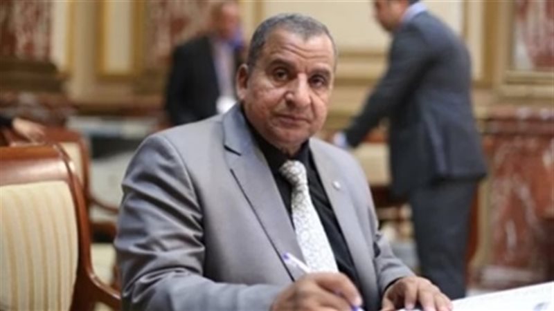 النائب عبد الحميد
