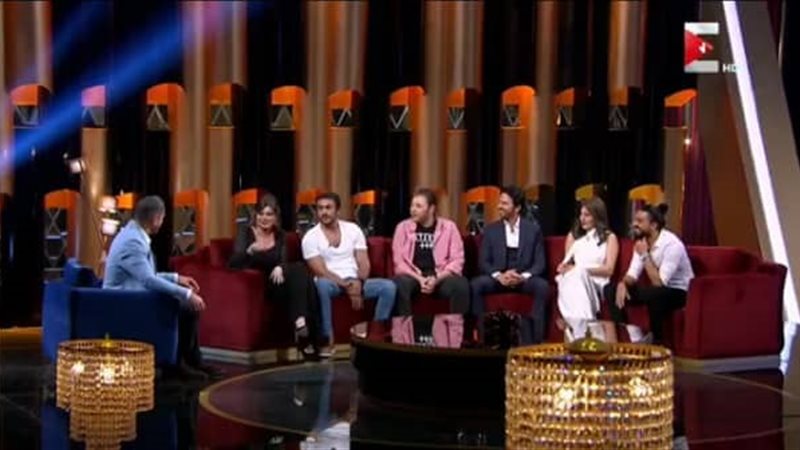 الفنان أمير كرارة