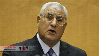 موسى: المشروع النهائي للتعديلات الدستورية يُستكمل قريبًا