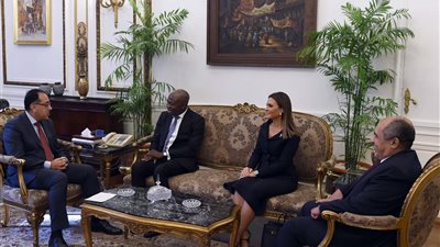 مدبولي يبحث التعاون مع رئيس الصندوق الدولي للتنمية الزراعية 