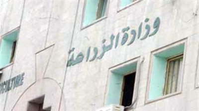 نشرة الوقائع المصرية.. وأبرزها: تشكيل مجلس الأعمال المصري السوداني