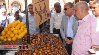 بالفيديو والصور.. محافظ أسوان يتفقد 