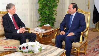 «السيسي» يبحث مع وزير خارجية بريطانيا المبادرة المصرية ومكافحة الإرهاب