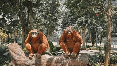 8 أشياء تجعلك تستبدل المدن السياحية بزيارة هذا المطار (صور)