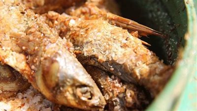 ضبط 12 طن فسيخ غير صالح للاستهلاك الآدمي بكفر الشيخ