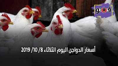 اسعار الدواجن اليوم الثلاثاء 8/ 10/ 2019