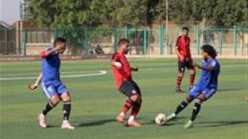 فيتو