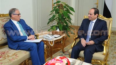 كواليس لقاء «السيسي» برئيس بنك الاستيراد الأمريكي.. الرئيس: القاهرة تعتز بعلاقاتها الاستراتيجية بواشنطن.. يبحث تمويل المشروعات الصغيرة والمتوسطة.. وهوكبيرج: مستعدون لتمويل الصادرات الأمريكية