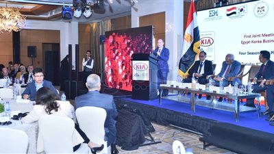 الصناعة: 2 مليار و160 مليون دولار حجم التبادل بين مصر وكوريا بالعام الماضي