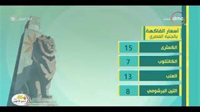 هبوط طفيف بأسعار الخضروات والفاكهة (فيديو)