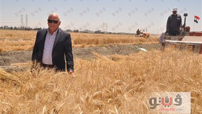 بالصور.. عادل الغضبان يشهد موسم حصاد القمح بجنوب بورسعيد