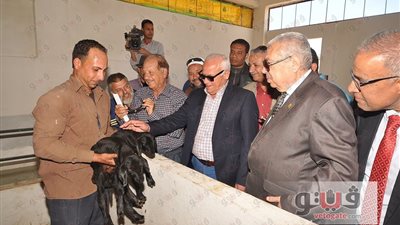 محافظ بورسعيد يكلف بإقامة 3 منافذ بيع لتسويق المنتجات الزراعية