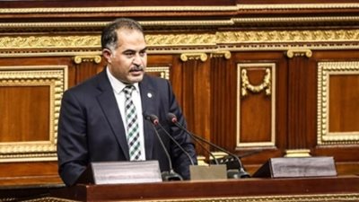 وكيل النواب: البرلمان يدعم الرئيس في الحفاظ على مياه النيل