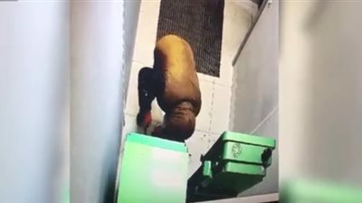 مصرع لص منحوس حاول سرقة صراف آلي (فيديو)