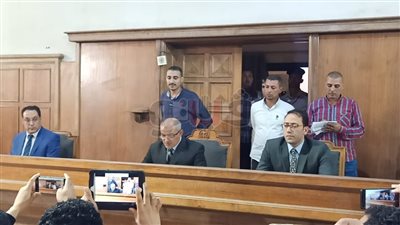 بدء نظر الجلسة الثانية لمحاكمة جدة الطفلة 