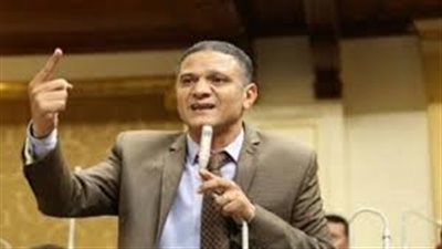 برلماني يطالب بإلغاء المادة 74 من قانون الخدمة المدنية