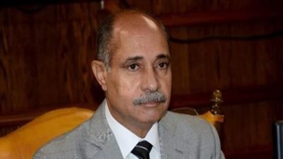 تكليفات وزير الطيران لرؤساء الشركات للنهوض بالخدمة