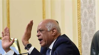 عبد العال: مصر دخلت حزام الفقر المائي بسبب الزيادة السكانية