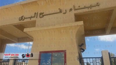 «بالصور».. قافلة الإغاثة الفلسطينية عبرت رفح.. «القافلة» تخطت صعاب بير العبد وكمين بالوظة ومعدية القنطرة بنجاح.. 