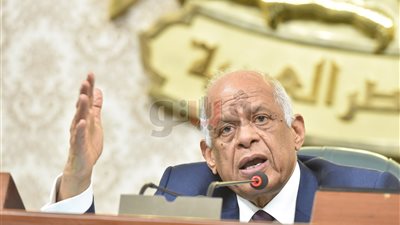 حالة من الهرج خلال مناقشة ملف سد النهضة بجلسة البرلمان